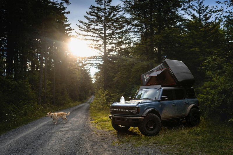 Dispersed Camping vs. Developed Campgrounds: Which Is Right for You?