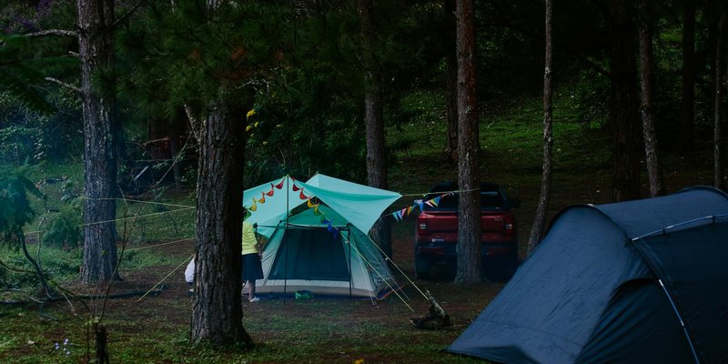 A Beginner's Guide to Camping on National Forest Land