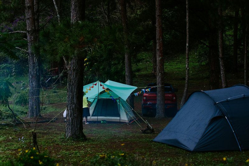 A Beginner's Guide to Camping on National Forest Land